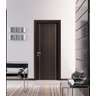 porta com alu design friso decorativo metalizado